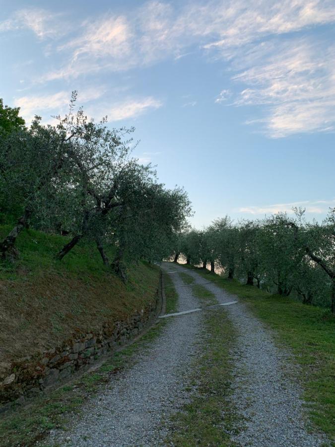 Marziani Rustic Tuscan House Capannori Eksteriør billede