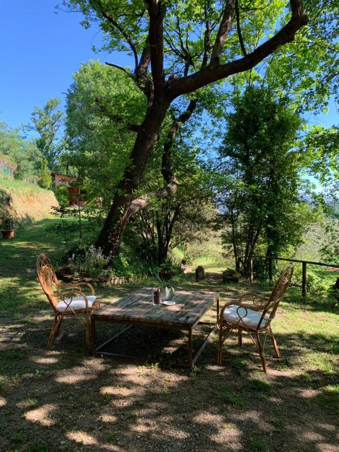 Marziani Rustic Tuscan House Capannori Eksteriør billede