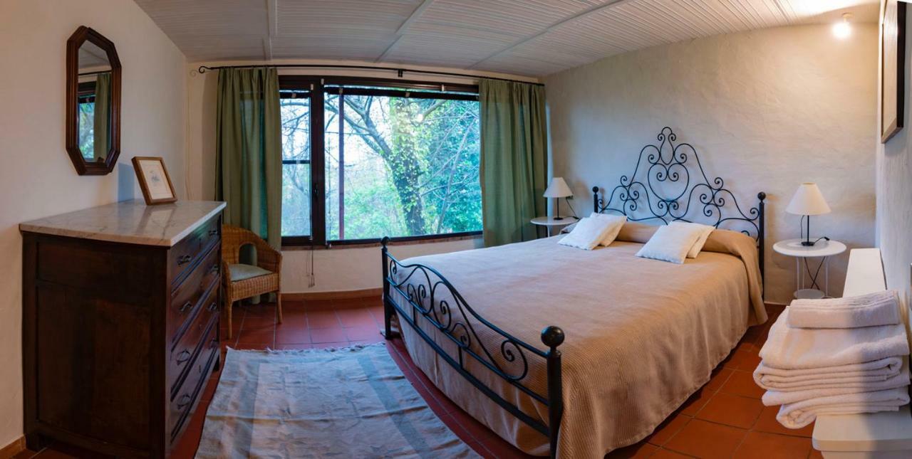 Marziani Rustic Tuscan House Capannori Eksteriør billede